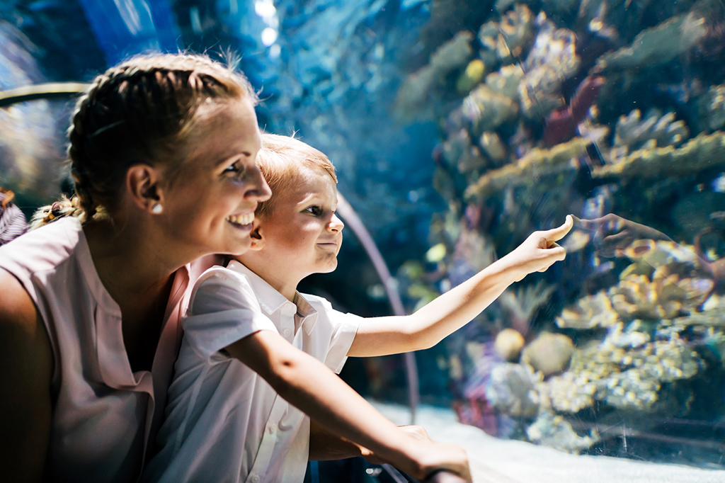 aquarium