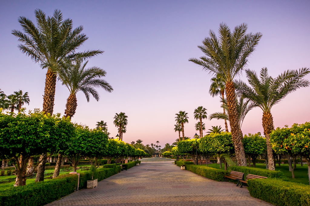 marrakech 