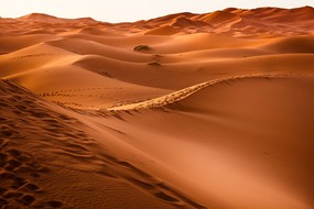 Maroc désert dunes