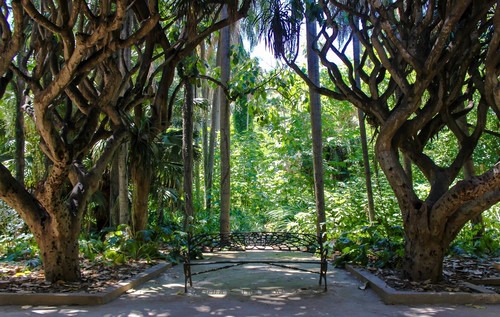 Destination Alger jardins