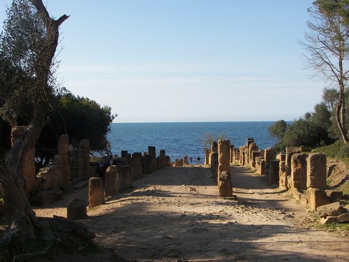 Destination Alger ruine de Tipasa