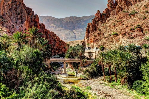 Destination Biskra header