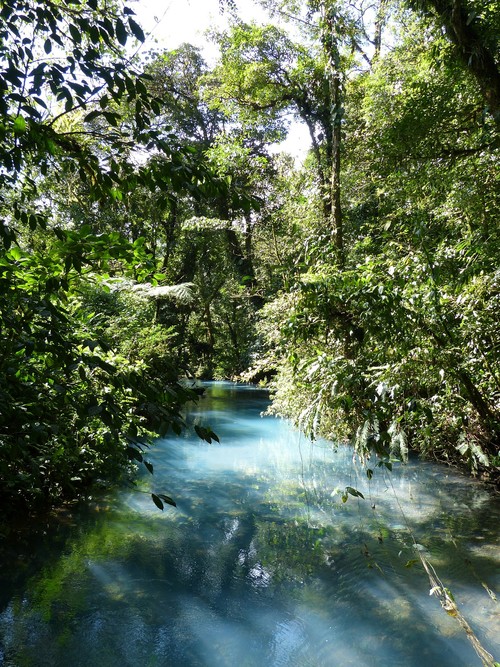 Destination San José Costa Rica jungle
