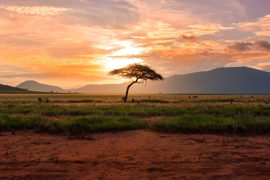 destination afrique
