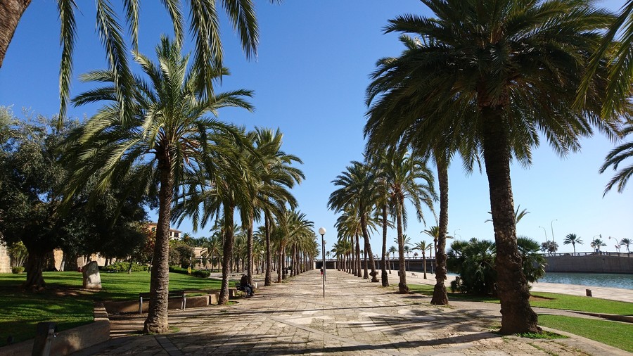 Flight Lyon Palma De Mallorca From 44 D A Book Your Flight Lyon Palma De Mallorca From 44 D A Lyon Aeroport