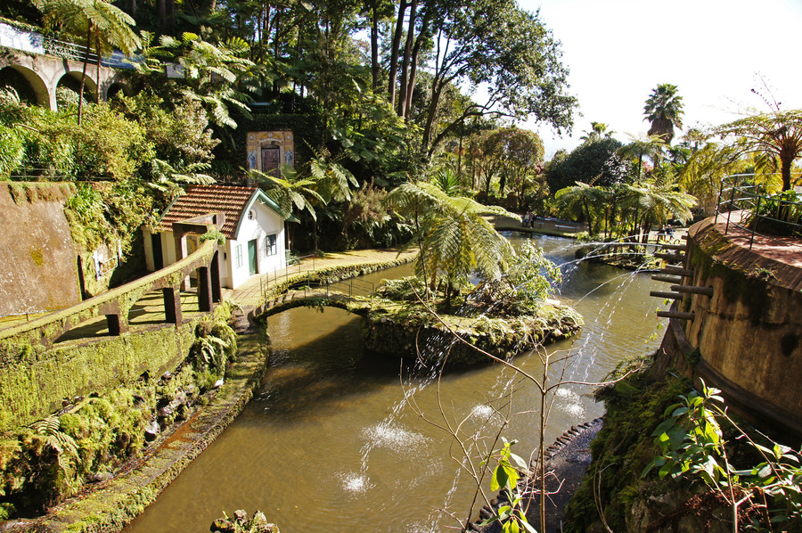funchal-verdure