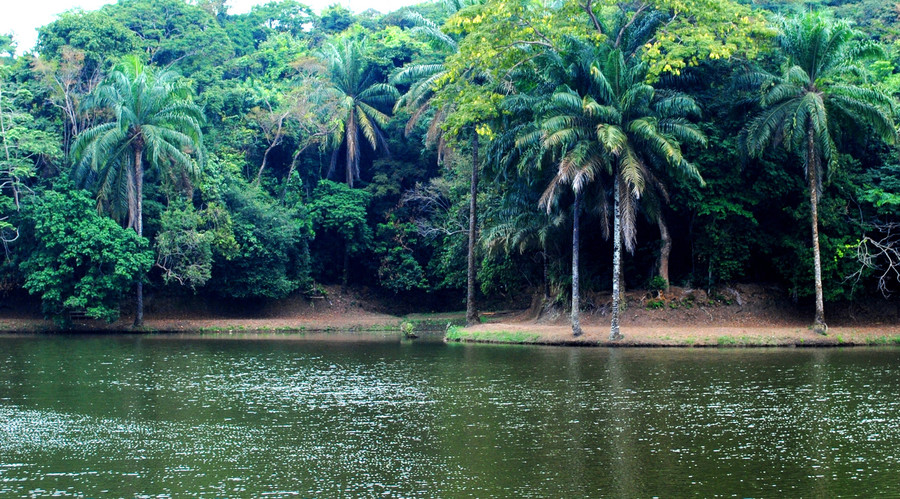 kinshasa-lac