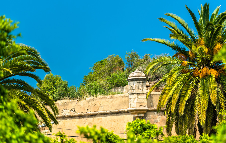 oran-jardin