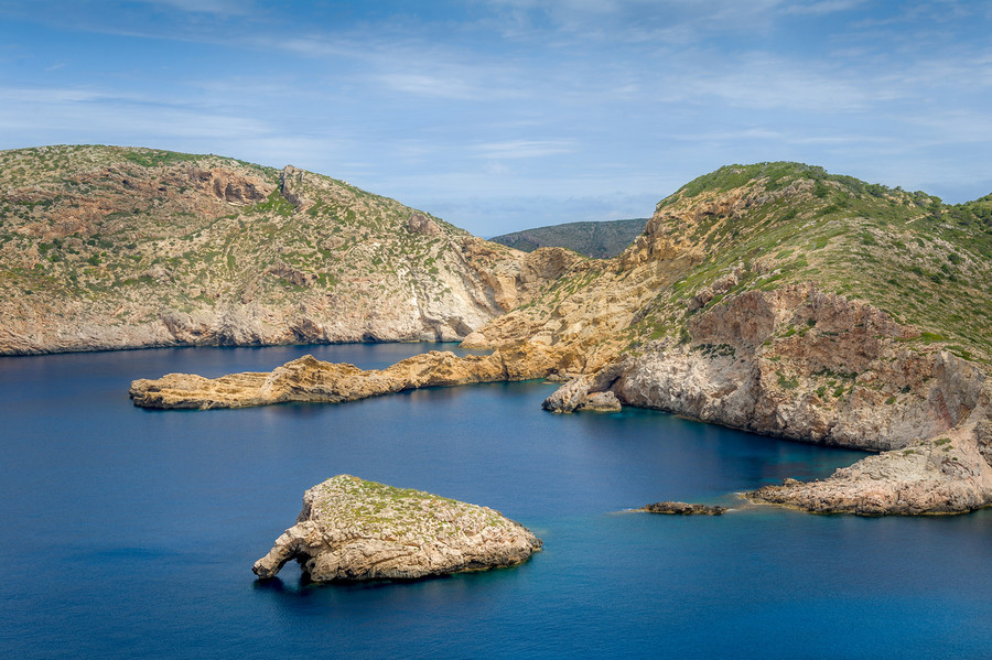palma-cabrera