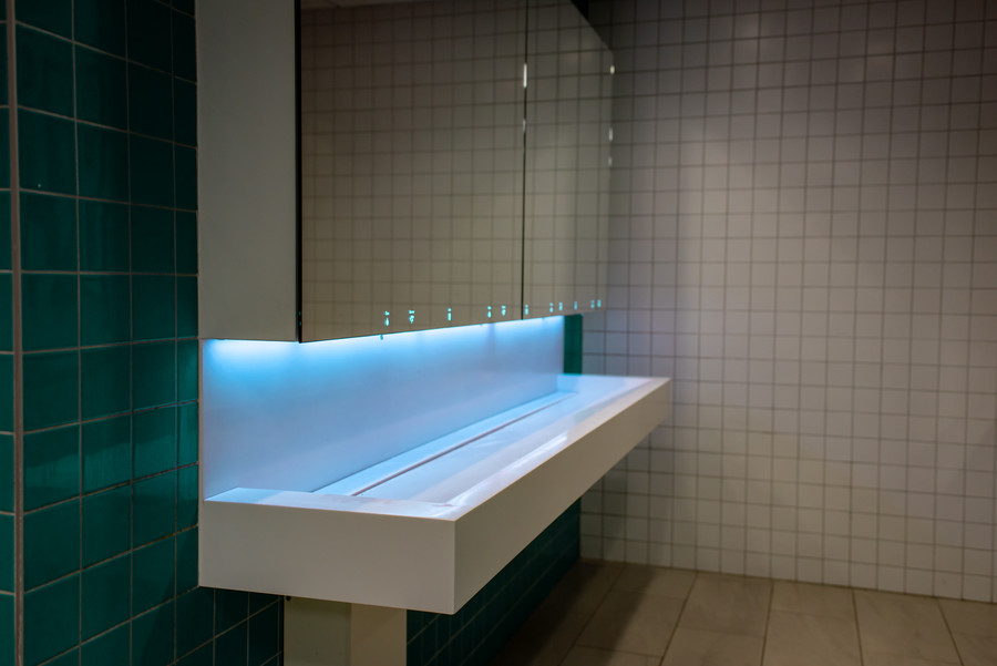 toilette sanitaire