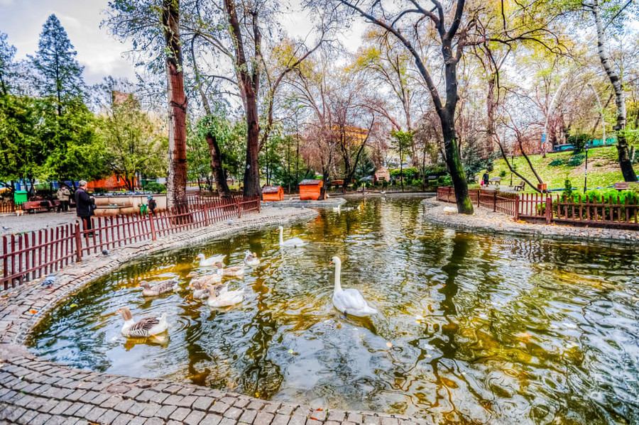 Vols Lyon Ankara