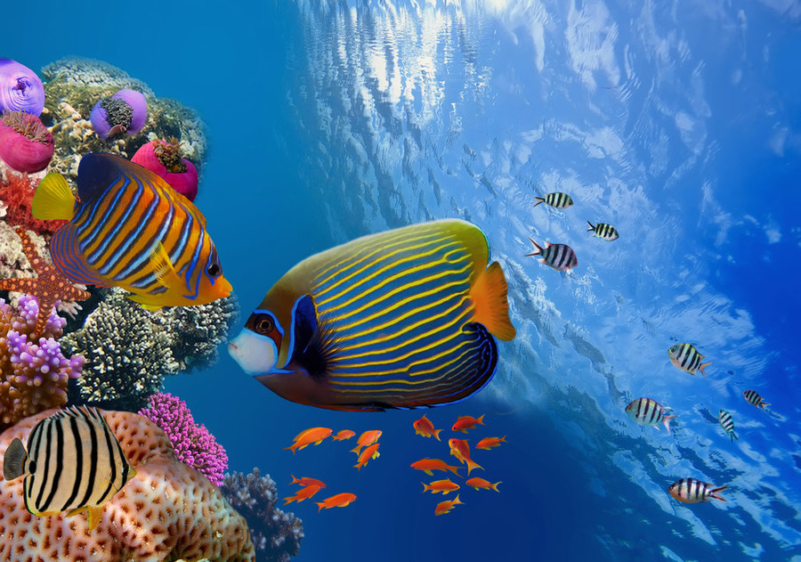 Hurghada