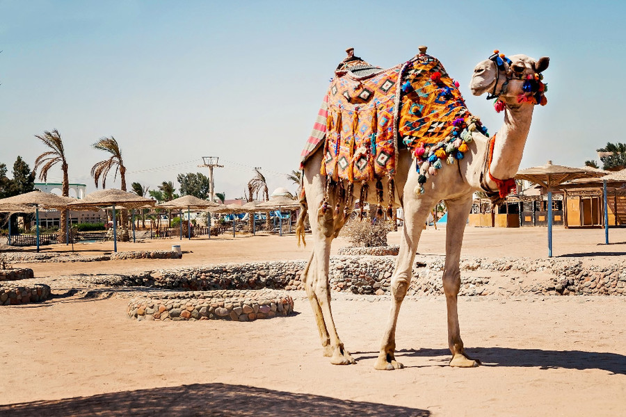 Hurghada, Egypte