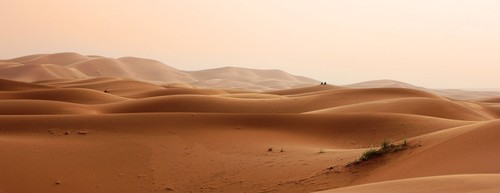 désert du maroc