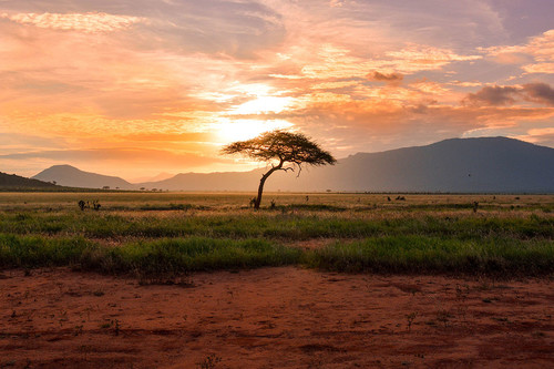 destination afrique