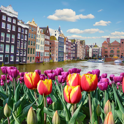 amsterdam-marche-fleur