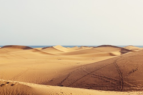 Destination Las Palmas dunes