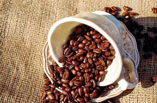 Destination San José Costa Rica café