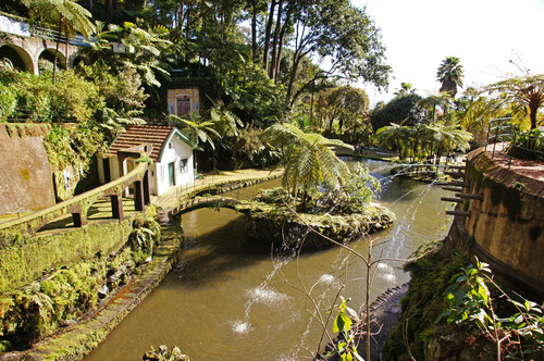 funchal-verdure
