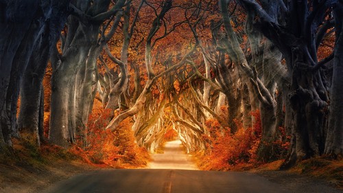 Irlande