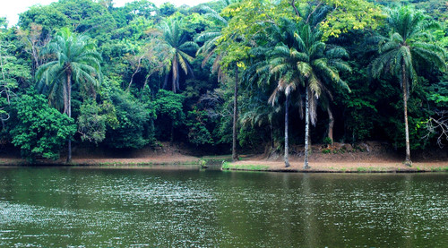 kinshasa-lac