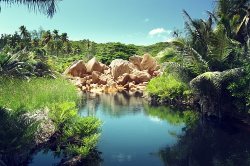 seychelles-parc