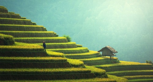 Thaïlande